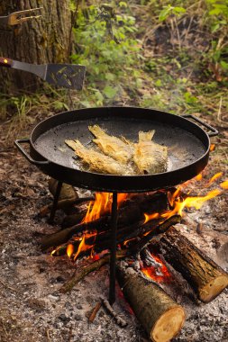 büyük Pan kızarmış balık 