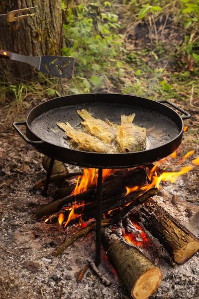 büyük Pan kızarmış balık 