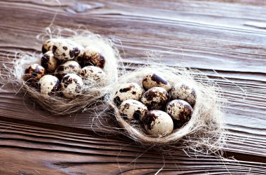 Bıldırcın yumurta yemlik ve ahşap arka plan.