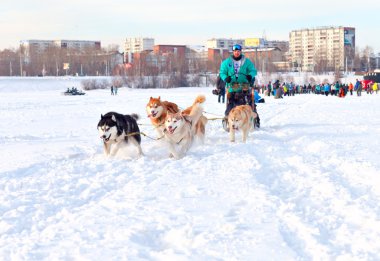Irkutsk, Rusya - 5 Mart 2016: Baykal yarış