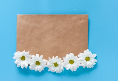 İmza için yer ve yer kopyalayın. Kraft zarf ve mavi bir arka plan üzerinde beyaz krizantem. Romantik mektup ve mesaj. Bahar ruh hali.