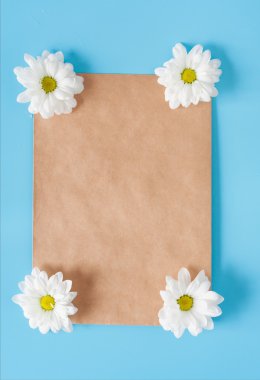 Kraft zarf ve mavi bir arka plan üzerinde beyaz krizantem. İmza için yer ve yer kopyalayın. Romantik mektup ve mesaj. Bahar ruh hali.