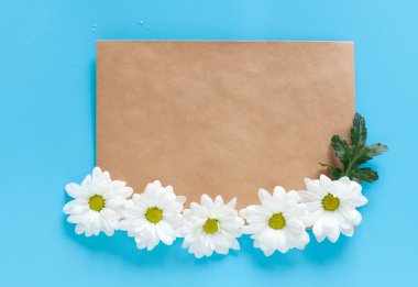 Kraft zarf ve mavi bir arka plan üzerinde beyaz krizantem. İmza için yer ve yer kopyalayın. Bahar havası. Romantik mektup ve mesaj.