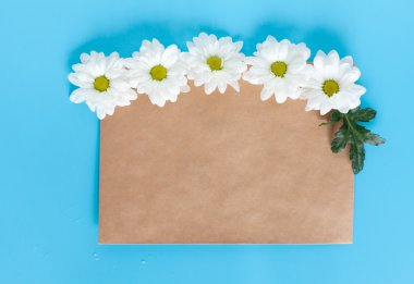 Bahar havası. Kraft zarf ve mavi bir arka plan üzerinde beyaz krizantem. İmza için yer ve yer kopyalayın. Romantik mektup ve mesaj.