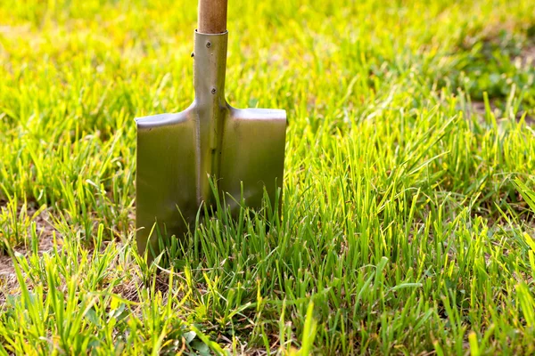 Shovel stuck in the ground. Garden tools on a green lawn. — Stock Photo, Image