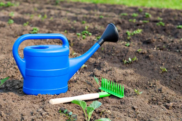 Ferramentas de jardim coloridas, uma lata de rega de plástico azul e ancinho . — Fotografia de Stock