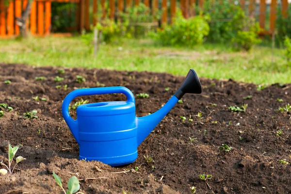 Narzędzia ogrodnicze, niebieskie plastikowe konewka — Zdjęcie stockowe