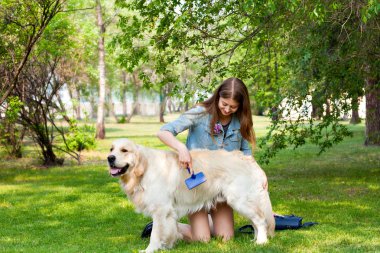 kadın penye kürk golden retriever köpek yeşil çim üzerinde