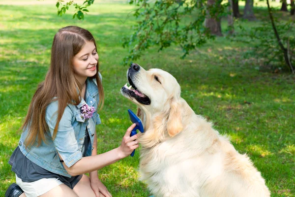 Genç güzel kadın penye kürk golden retriever köpek yeşil çim üzerinde.
