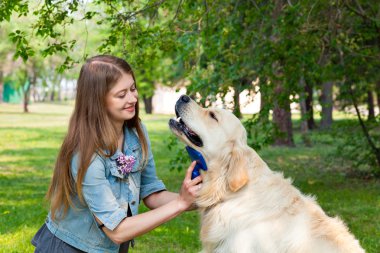Genç kadın penye kürk golden retriever köpek yeşil çim üzerinde