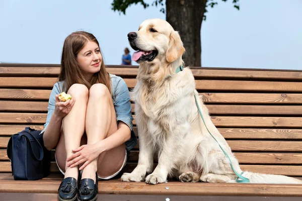 Fiatal nő, kutya, golden retriever, egy nyár a városban — Stock Fotó