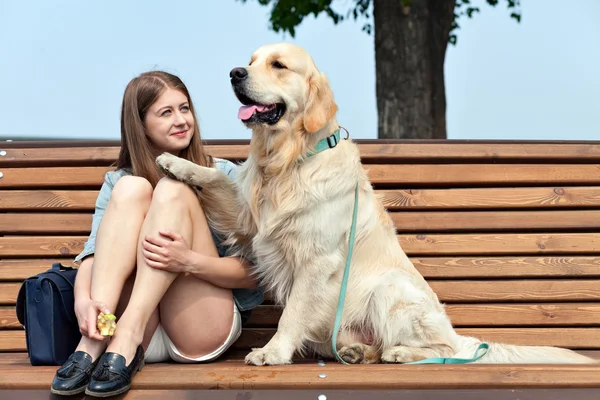 Fiatal nő, kutya, golden retriever, egy nyár a városban — Stock Fotó