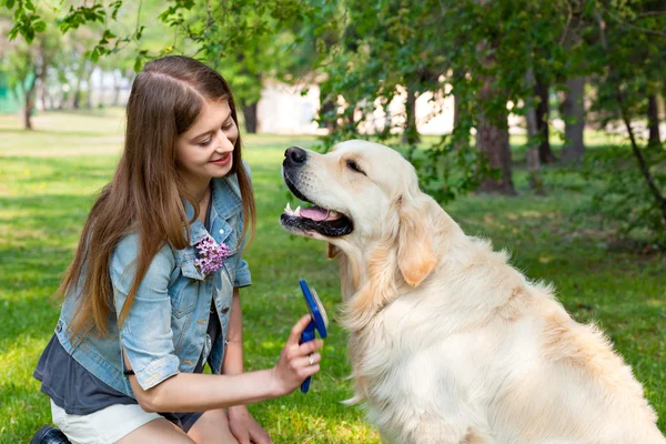 Молодая красивая женщина расчесывает золотистую собаку-ретривер на зеленой лужайке — стоковое фото