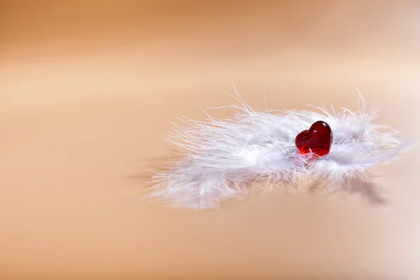 White feathers. Valentine's Day. red heart. — Stock Photo, Image