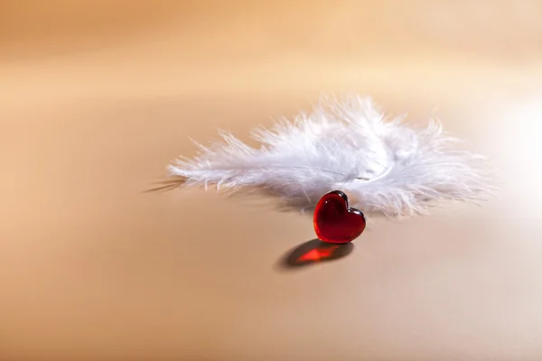 День Святого Валентина. Красное сердце. Белые перья . — стоковое фото