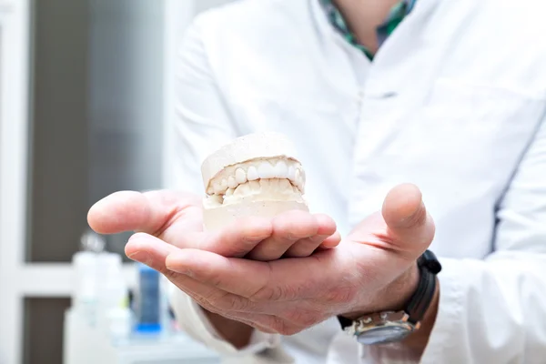 Denture in the hands of dentist. . — Stock Photo, Image