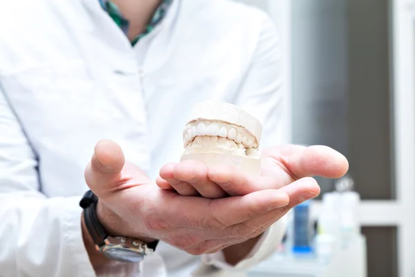 Denture in the hands of dentist — Stock Photo, Image