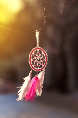 Doğal renkli tüy kullanarak Dreamcatcher el yapımı pamuk iplikler