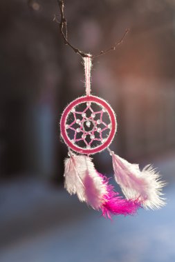 Dreamcatcher doğal renkli tüyleri ve boncuk