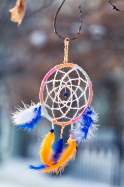 Dreamcatcher Bright doğal renkli tüyleri ve boncuk