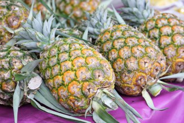 Taze Olgun tatlı sulu ananas