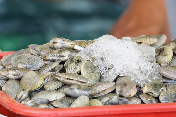 Świeże morskie małże w weekend market — Zdjęcie stockowe