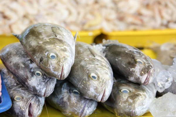 Ryby morskie świeże w weekend market — Zdjęcie stockowe