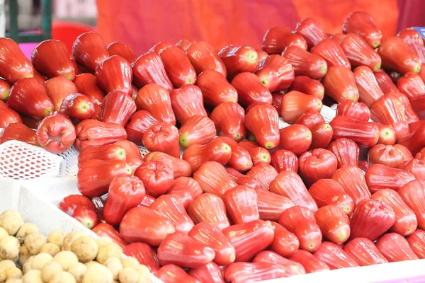 Fruta de sino vermelho — Fotografia de Stock