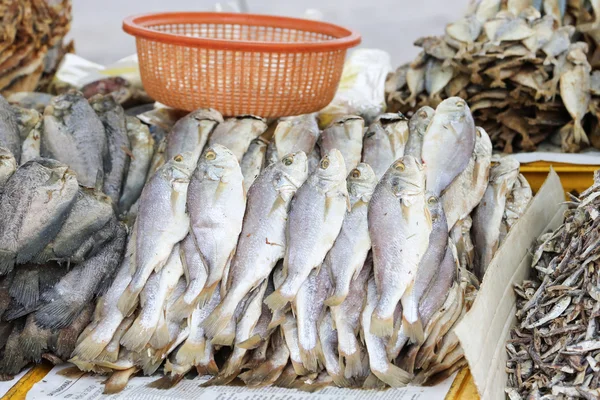 Solone, suszone ryby — Zdjęcie stockowe