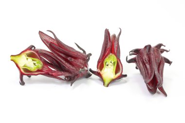 Roselle Hibiscus sabdariffa