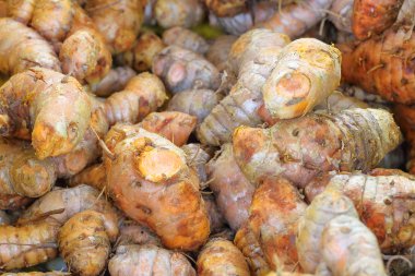 Çiğ sarı zerdeçal