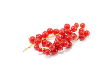 Kırmızı geçerli dut