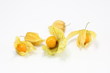 Sarı turuncu bektaşi üzümü