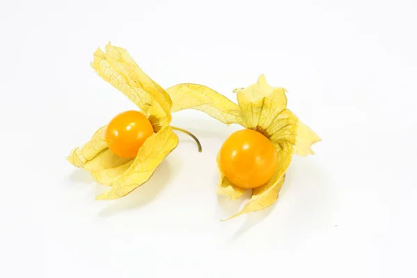 Sarı turuncu bektaşi üzümü