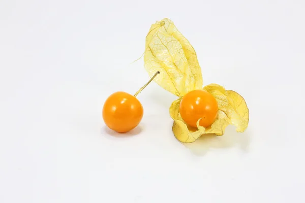 Uva spina arancione gialla — Foto Stock