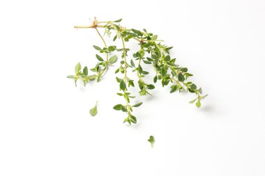 Limon kekik Herb