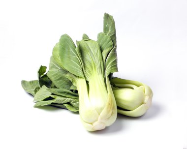 Bok Choy yeşil yapraklı sebze 