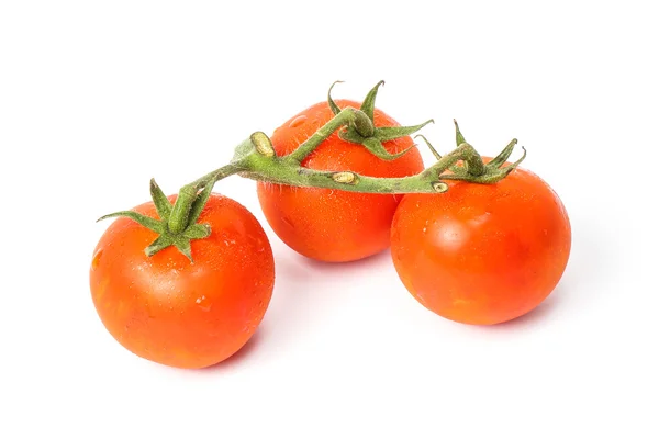 熟したトマトの新鮮な — ストック写真