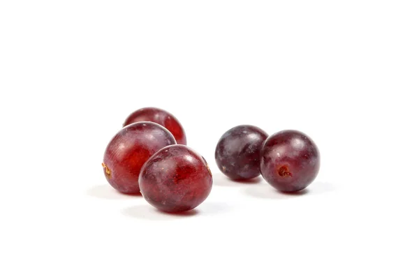 Uvas rojas pequeñas — Foto de Stock