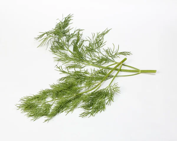 Dill grünes Kraut — Stockfoto