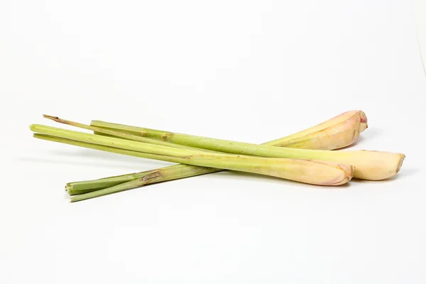 Lemon grass fragrant herb — Stock Photo, Image