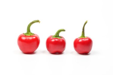 Küçük biber chili biber kırmızı biber 