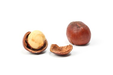 Macadamia nut ve kabuk