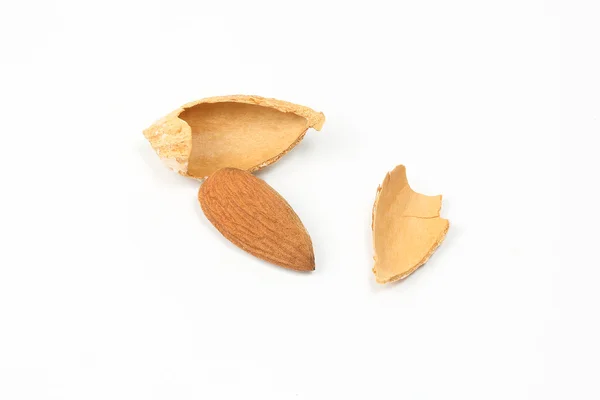 Almond nut in shell — Stock Photo, Image