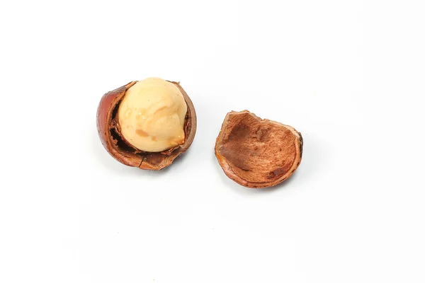 Орех и скорлупа макадамии — стоковое фото