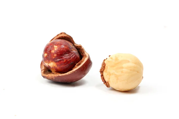 Орех и скорлупа макадамии — стоковое фото