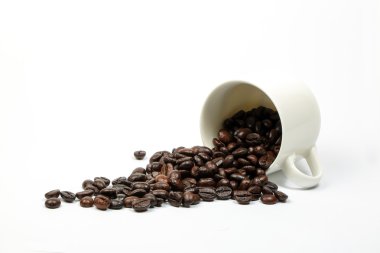 Kahve çekirdeği tüm Kupası