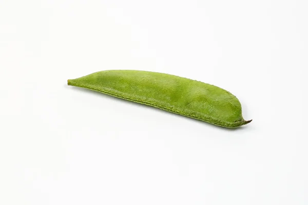 Frijol plano verde — Foto de Stock