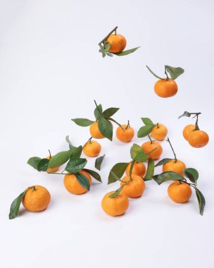 Mandarin portakalı yeşil yaprak beyaz zemine düşer