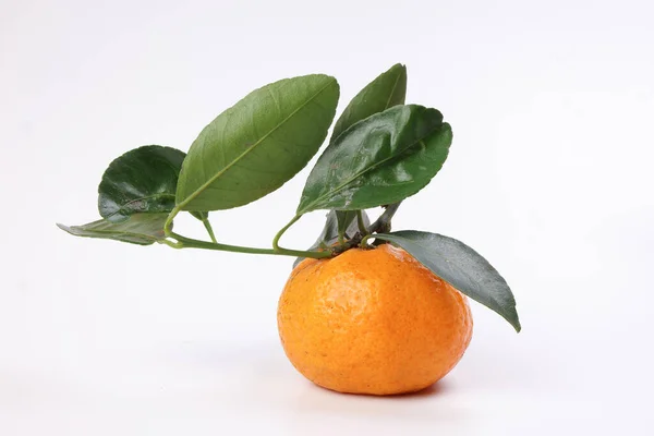 Mandarina Laranja Folha Verde Vela Fundo Branco — Fotografia de Stock